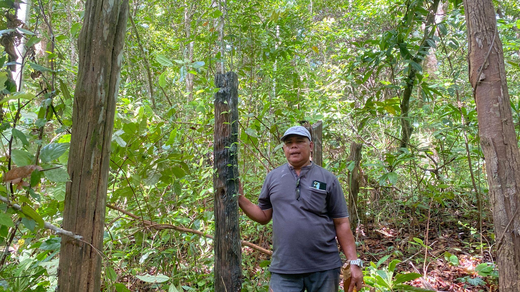  Saparuddin (53) menunjukkan kayu ulin yang merupakan puing tersisa dari rumah lama orangtuanya di kebun yang sekarang masuk dalam klaim HGB PT ITCHI. Dia mengaku, rumah tua itu mulai ditempati sejak 1970-1996. [Foto: Muhibar Sobary]